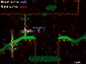 Jungle rabbit's cave