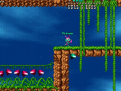 Treasurehunt levels by Meow