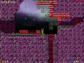 Rabbit Mine !