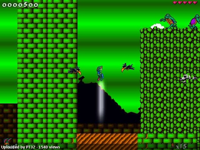 War of the rabbits