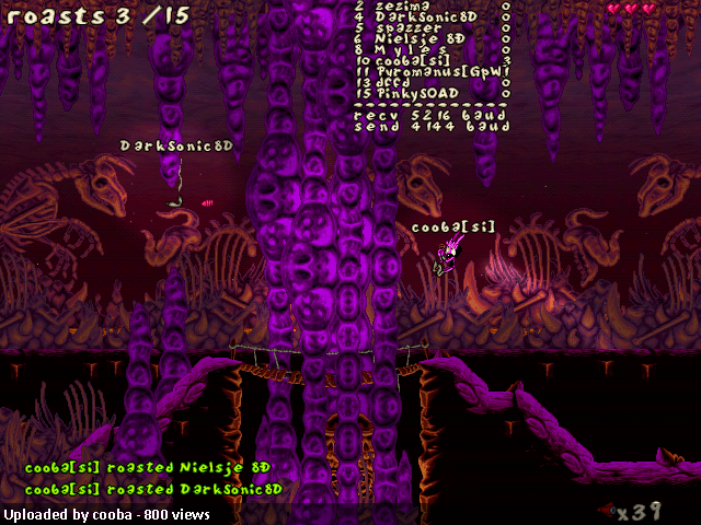 The Chasm