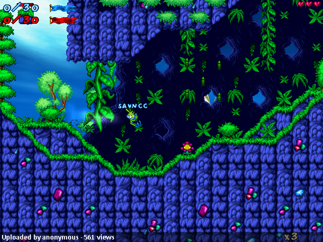 Royal Rainforest