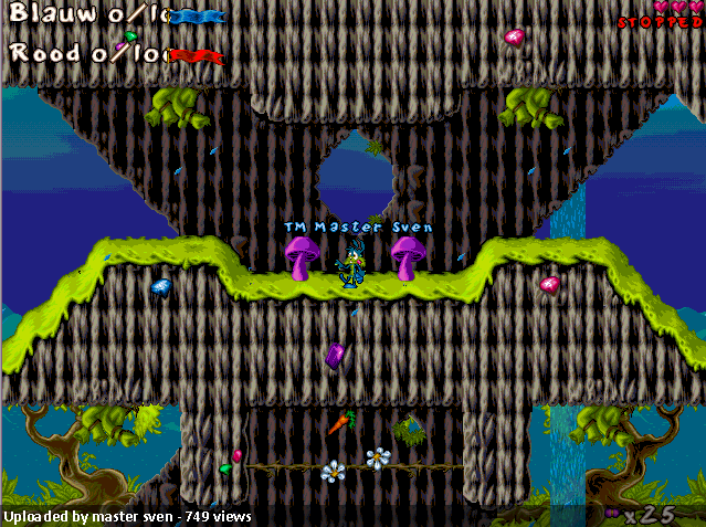 New Diamondus Bay