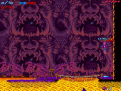 BloodBunny's CTF Pack